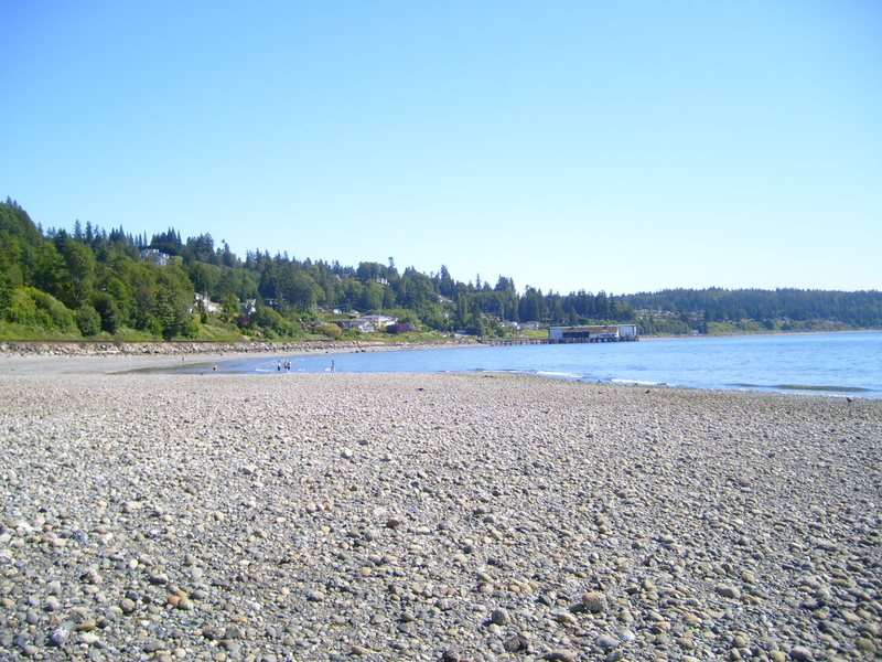 Beach+Woods